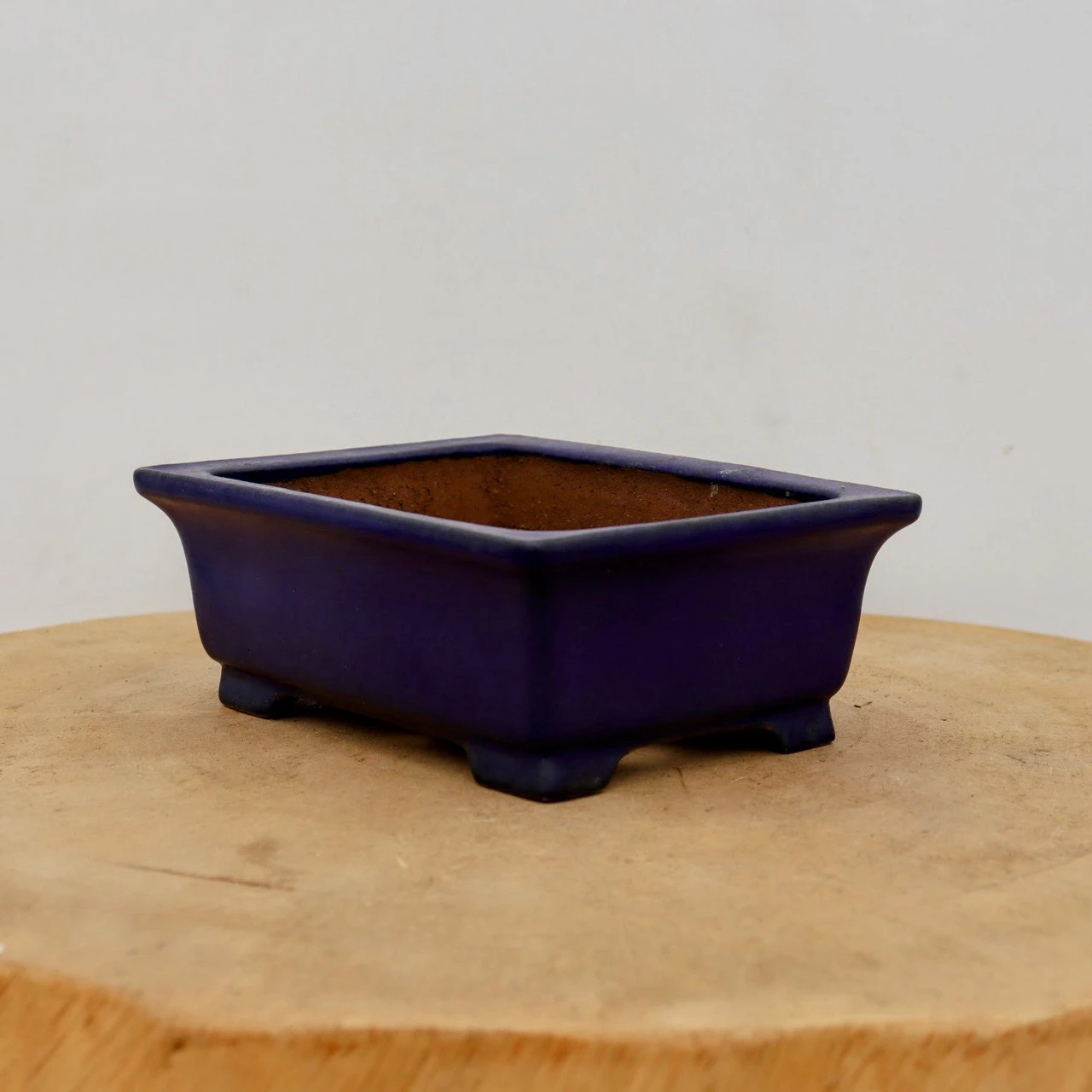 6" Tokoname Bonsai Pot - Shibakatsu (No. 1523) 6 6" Tokoname Bonsai Pot - Shibakatsu (No. 1523) - Image 6