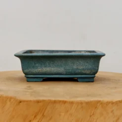 6" Tokoname Bonsai Pot (No. 1524) -Home Decor Items Store IMG 16742 90388.1693497377