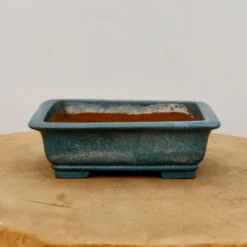 6" Tokoname Bonsai Pot (No. 1524) -Home Decor Items Store IMG 16752 94940.1693497362 1