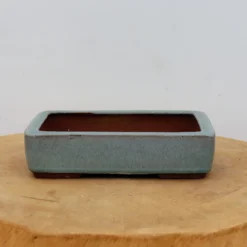 7" Tokoname Bonsai Pot - Yozan (No. 1525) -Home Decor Items Store IMG 1681 68794.1693498010