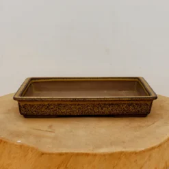 9" Tokoname Bonsai Pot - Yozan (No. 1526) 9 9" Tokoname Bonsai Pot - Yozan (No. 1526) -Home Decor Items Store IMG 16872 99603.1693498192