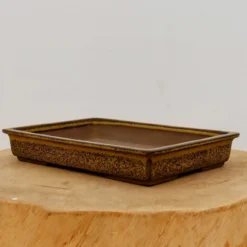 9" Tokoname Bonsai Pot - Yozan (No. 1526)