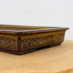 9" Tokoname Bonsai Pot - Yozan (No. 1526) 11 9" Tokoname Bonsai Pot - Yozan (No. 1526) -Home Decor Items Store IMG 1689 23233.1693498197 1