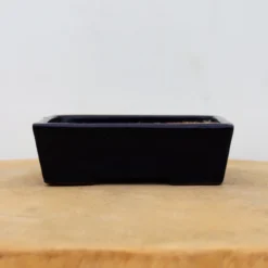 5" Tokoname Bonsai Pot - Yamafusa (No. 1528) -Home Decor Items Store IMG 1698 96056.1694108214