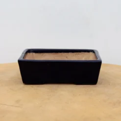 5" Tokoname Bonsai Pot - Yamafusa (No. 1528) -Home Decor Items Store IMG 1699 06940.1694108223