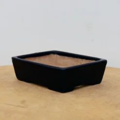 5" Tokoname Bonsai Pot - Yamafusa (No. 1528) -Home Decor Items Store IMG 1700 62178.1694108214 1