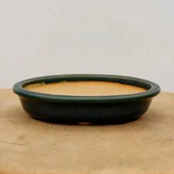 6" Tokoname Bonsai Pot - Shunzan (No. 1531) 9 6" Tokoname Bonsai Pot - Shunzan (No. 1531) -Home Decor Items Store IMG 17172 92814.1694108739