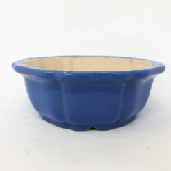 6" Blue Glazed Yixing Bonsai Pot (no. 845) -Home Decor Items Store IMG 1821 26363.1558620417 1