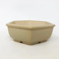 5" Cream Glazed Shohin Yixing Pot (YX848) -Home Decor Items Store IMG 1830 59927.1544228216 1