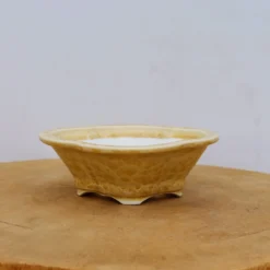 6" Glazed Tokoname Pot - Senzan(No. 1569)