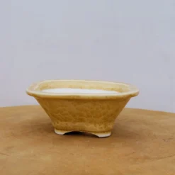 6" Glazed Tokoname Pot - Senzan(No. 1569) -Home Decor Items Store IMG 1944 88153.1689705009