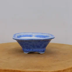 6" Glazed Tokoname Pot - Senzan(No. 1570) -Home Decor Items Store IMG 1950 50516.1689705079