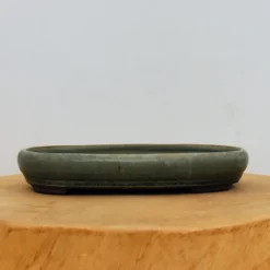 9" Tokoname Pot - Togui(No. 1577)