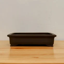 13" Tokoname Pot - Yamaaki(No. 1578) -Home Decor Items Store IMG 19912 40331.1689776016