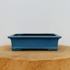 8" Tokoname Pot - Koyo(No. 1579)