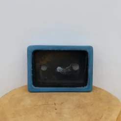 8" Tokoname Pot - Koyo(No. 1579) -Home Decor Items Store IMG 2000 46663.1689776176 1