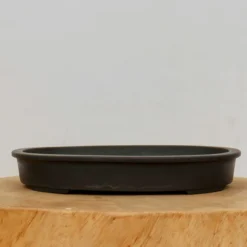 11" Tokoname Pot - Suishoen(No. 1582) -Home Decor Items Store IMG 20152 01570.1690227094