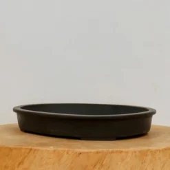 11" Tokoname Pot - Suishoen(No. 1582)