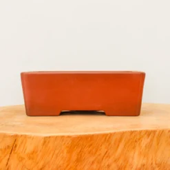 7" Unglazed Yixing Bonsai Pot (No. 851)