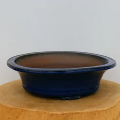 12-Inch Glazed Yixing Bonsai Pot (No. 2434)
