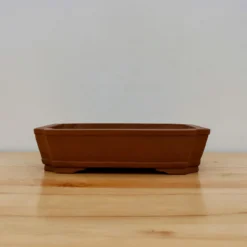 11-Inch Unglazed Yixing Bonsai Pot (No. 2472) 9 11-Inch Unglazed Yixing Bonsai Pot (No. 2472) -Home Decor Items Store IMG 22552 07768.1687895577