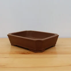 11-Inch Unglazed Yixing Bonsai Pot (No. 2472) 10 11-Inch Unglazed Yixing Bonsai Pot (No. 2472) -Home Decor Items Store IMG 2257 79936.1687895570