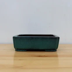 9-Inch Glazed Yixing Bonsai Pot (No. 2314a) 10 9-Inch Glazed Yixing Bonsai Pot (No. 2314a) -Home Decor Items Store IMG 2261 21891.1687897058