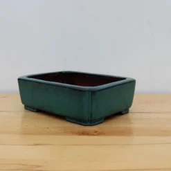 9-Inch Glazed Yixing Bonsai Pot (No. 2314a) 9 9-Inch Glazed Yixing Bonsai Pot (No. 2314a) -Home Decor Items Store IMG 2263 57442.1687897075