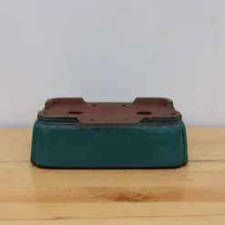 9-Inch Glazed Yixing Bonsai Pot (No. 2314a) 8 9-Inch Glazed Yixing Bonsai Pot (No. 2314a) -Home Decor Items Store IMG 2265 42980.1687897072