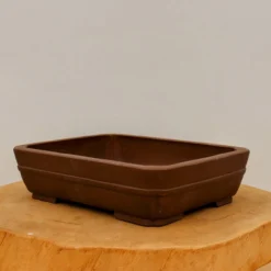 10-Inch Unglazed Yixing Bonsai Pot (No. 2470) 9 10-Inch Unglazed Yixing Bonsai Pot (No. 2470) -Home Decor Items Store IMG 23102 84537.1687898954