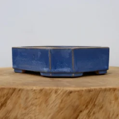 7" Quality Rectangle Glazed Yixing Pot (No. 1045a) -Home Decor Items Store IMG 23302 26546.1655910838