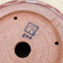 7" Andy Arnault Bonsai Pot (No. 491) -Home Decor Items Store IMG 2361 68079.1692116326