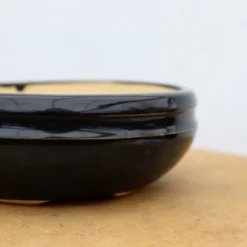 7" Andy Arnault Bonsai Pot (No. 492) -Home Decor Items Store IMG 2364 83341.1692116512