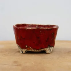 3" Terre O Vert Handmade Planter (No. 49) 11 3" Terre O Vert Handmade Planter (No. 49) -Home Decor Items Store IMG 24032 84191.1659552713