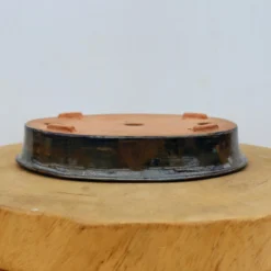 9" Andy Arnault Bonsai Pot (No. 503) 8 9" Andy Arnault Bonsai Pot (No. 503) -Home Decor Items Store IMG 2426 18857.1692118683