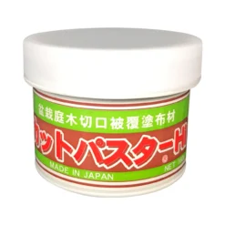 Bonsai Cut Paste Kit -Home Decor Items Store IMG 3644 12584.1652113087