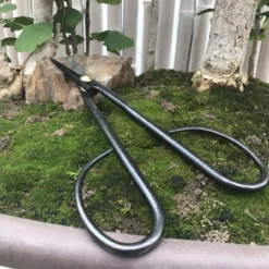 Yoshiaki Bonsai Shears - Carbon Steel (A3) -Home Decor Items Store IMG 3699 09072.1650227740