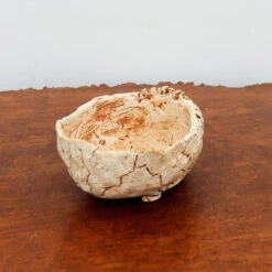 5" Terre O Vert Handmade Planter (No. 61) -Home Decor Items Store IMG 38492 53578.1659712518