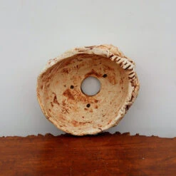 5" Terre O Vert Handmade Planter (No. 61) -Home Decor Items Store IMG 38502 72985.1659712518