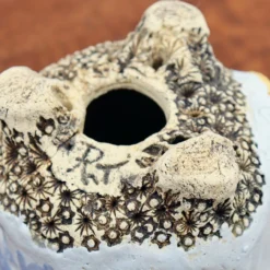 4" Terre O Vert Handmade Planter (No. 73) -Home Decor Items Store IMG 39282 18524.1660582568