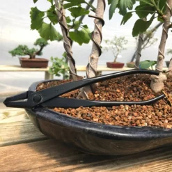 Tinyroots Carbon Steel Jin Pliers - Great For Applying Or Removing Bonsai Wire. -Home Decor Items Store IMG 4037 77145.1618538460