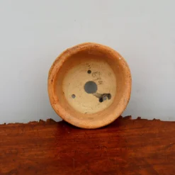 4" Terre O Vert Handmade Planter (No. 101) -Home Decor Items Store IMG 40862 18162.1663611431