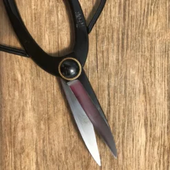 Japanese Bonsai Shears - Carbon Steel -Home Decor Items Store IMG 4168 07134.1613759518 1