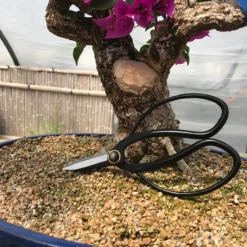 Japanese Bonsai Shears - Carbon Steel -Home Decor Items Store IMG 4169 33507.1613759518 1