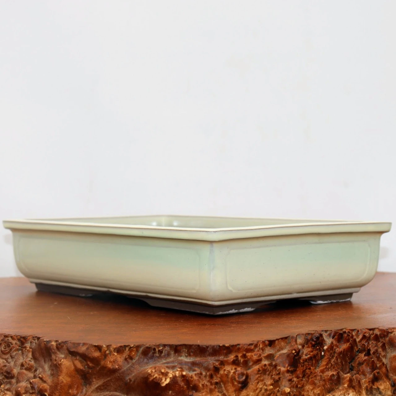 13-15" Cream Glazed Japanese Bonsai Pot (No. 1529) 5 13-15" Cream Glazed Japanese Bonsai Pot (No. 1529) - Image 5