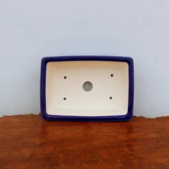 7" Glazed Yixing Bonsai Pot (No. 2055) 8 7" Glazed Yixing Bonsai Pot (No. 2055) -Home Decor Items Store IMG 46562 16461.1665508337