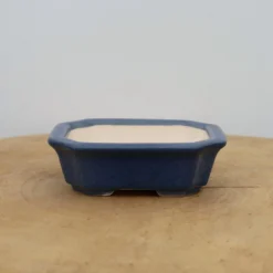 4" Glazed Yixing Bonsai Pot (No. 2000) -Home Decor Items Store IMG 46832 30814.1665510310
