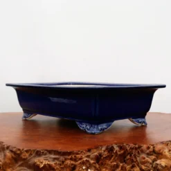 14" Glazed Yixing Bonsai Pot (No. 2142)