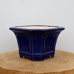8" Blue Glazed Yixing Bonsai Pot (No. 2095) -Home Decor Items Store IMG 51192 52113.1666713203 1