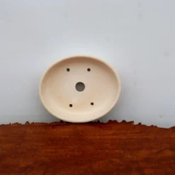 5" Cream Glazed Yixing Bonsai Pot (No. 2018) 8 5" Cream Glazed Yixing Bonsai Pot (No. 2018) -Home Decor Items Store IMG 51502 49736.1666714743